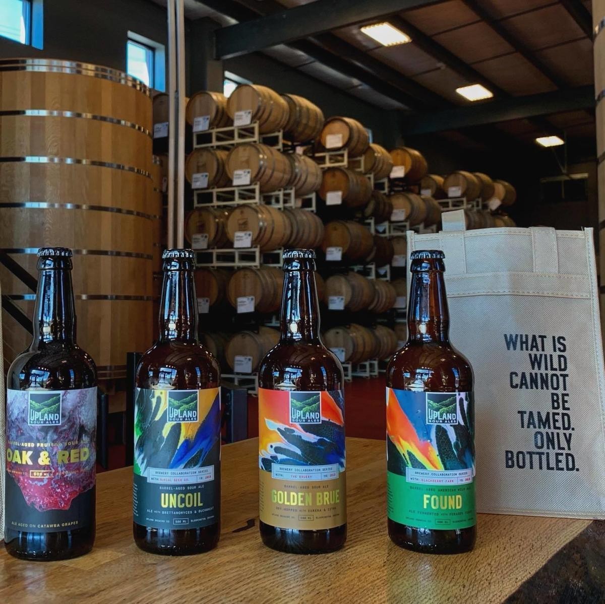 Upland Wood Shop sour bottles in front of the barrel racks