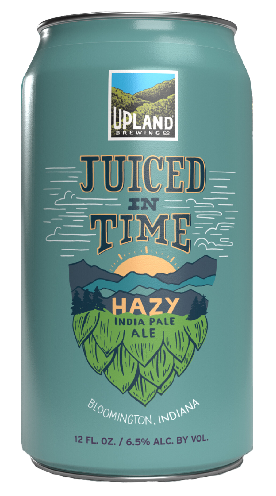 Juiced in Time — New England-Style IPA