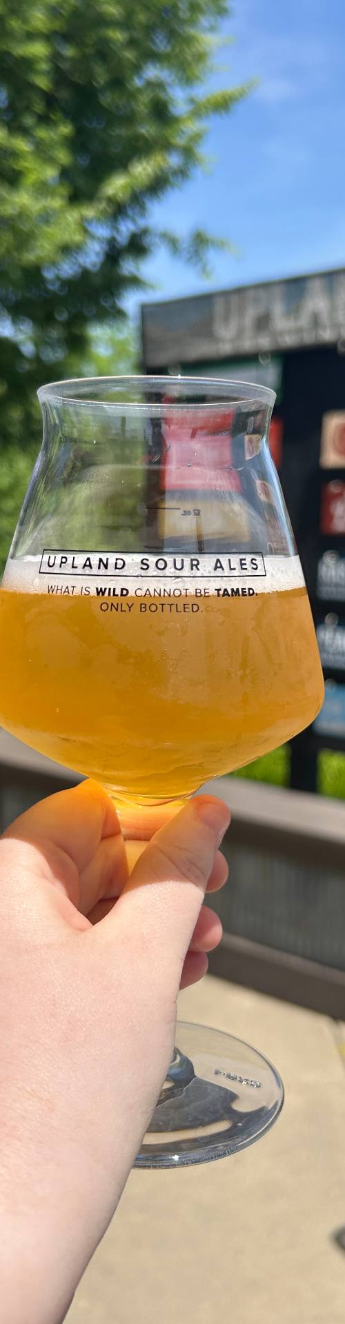 Carmel Tap House — photo 4