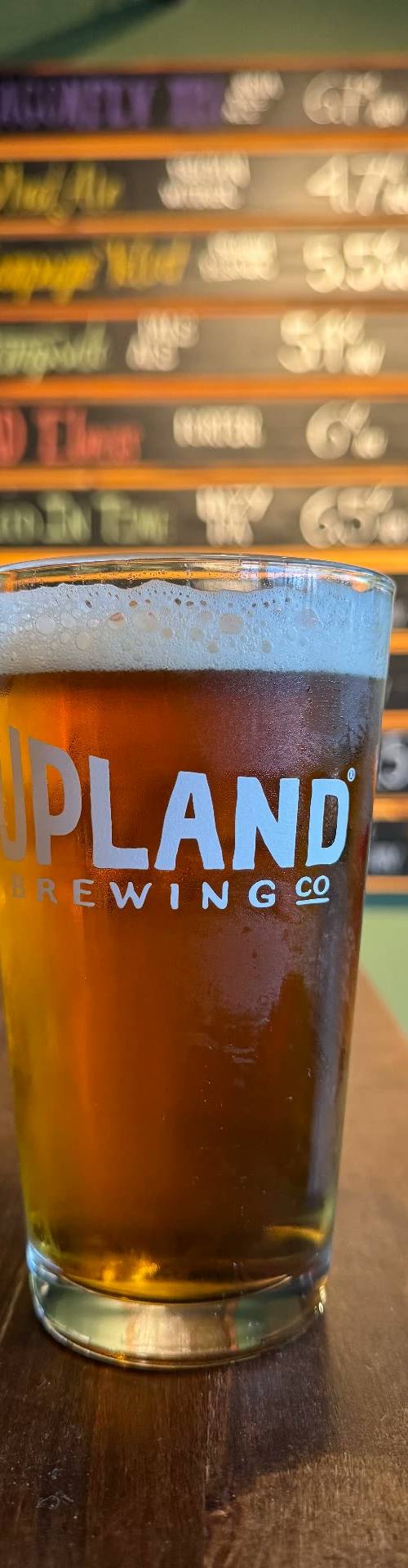The Tap Room at Profile Brewery — photo 5