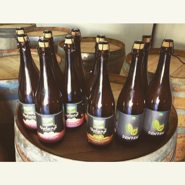 upland sours