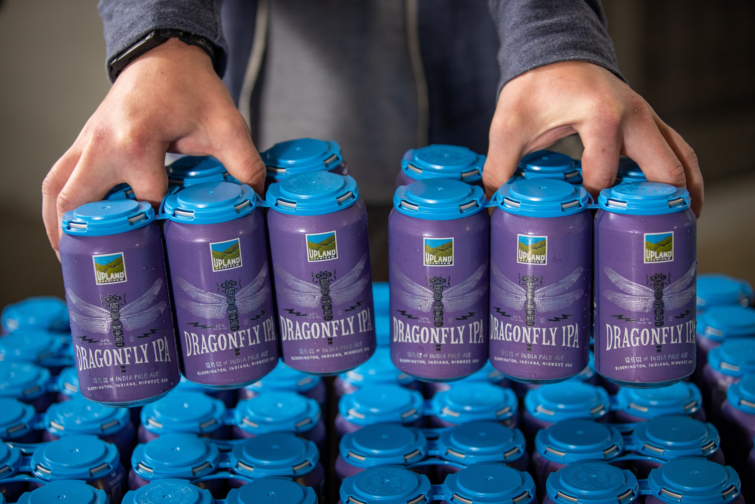 Dragonfly IPA 6-pack