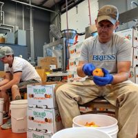 2Upland Woodshop Production